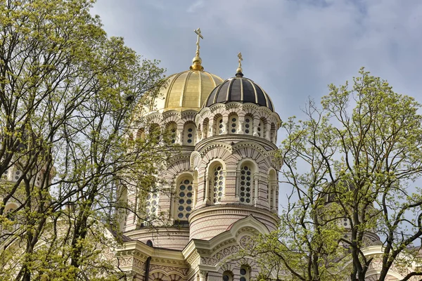 Собор Рождества Христова . — стоковое фото