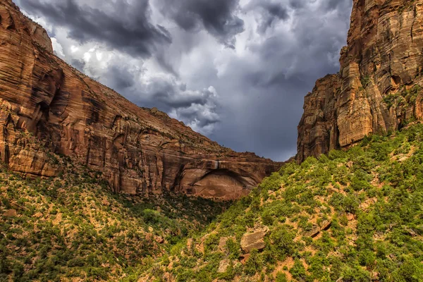 Parque Nacional Zion, Utah, EE.UU. en un día lluvioso — Foto de Stock
