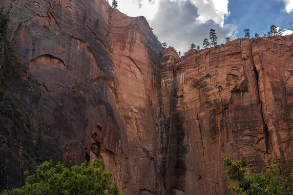 Paisaje Colorido Del Parque Nacional Zion Utah — Foto de Stock