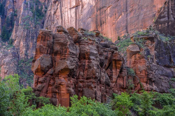 Paisaje Colorido Del Parque Nacional Zion Utah — Foto de Stock