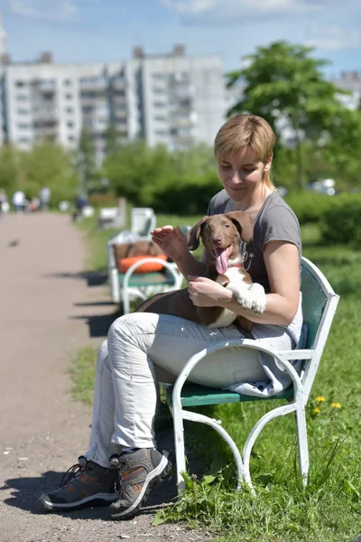 夏にベンチに座っている彼女の腕の中で子犬と女の子、 — ストック写真