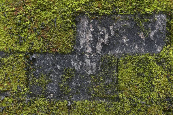 Sfondo muro di pietra ricoperto di muschio — Foto Stock