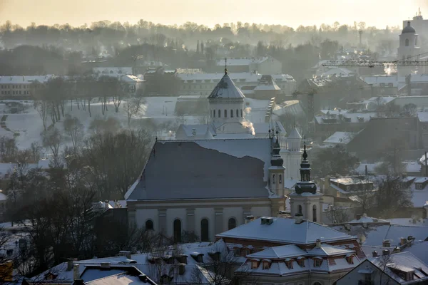 Panorama de iarnă Vilnius din turnul castelului Gediminas. Vilnius. Li — Fotografie, imagine de stoc