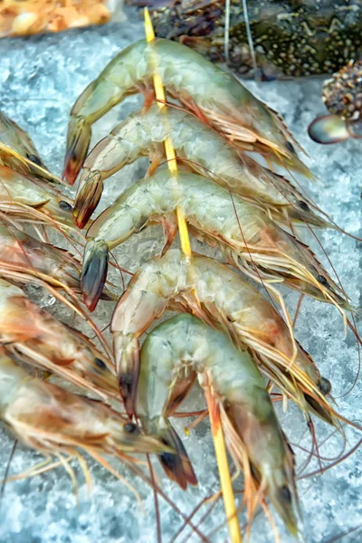 Crevettes sur un bâton — Photo