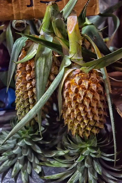 Many Pineapple Sale Local Market Thailand — Stock Photo, Image