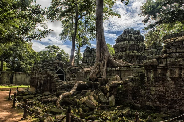 Ta Prohm Temple, Angkor, Kambodža — Stock fotografie