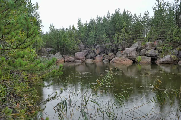 Um pequeno lago florestal e grandes pedras — Fotografia de Stock