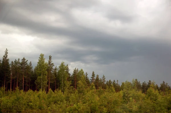 Nubes Lluvia Sobre Bosque Karelia — Foto de Stock