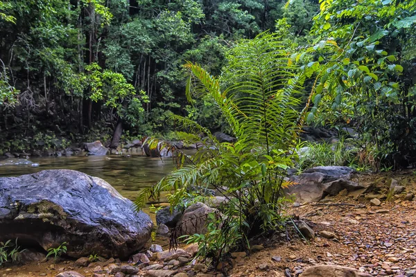 Потоку Тропічних Джунглях Південно Східної Азії Таїланд Чанг — стокове фото