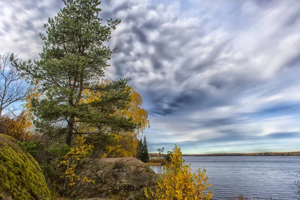 Gyllene höst på Monrepo park, — Stockfoto