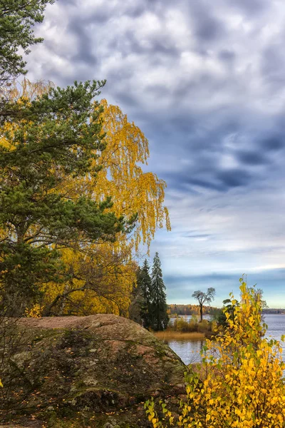 Gyllene höst på Monrepo park, — Stockfoto