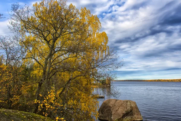 Musim gugur emas di Taman Monrepo , — Stok Foto