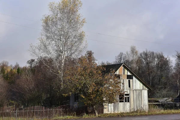 Wooden Abandoned House Autumn Next Tree — Stock Photo, Image