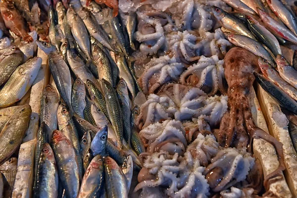Кальмар, осьминог и рыба на прилавке — стоковое фото