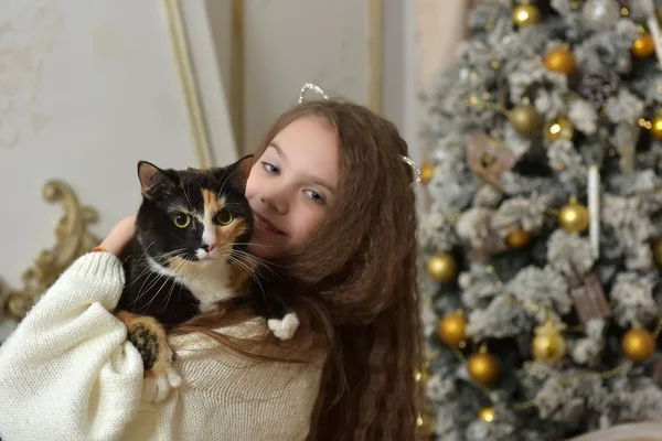Chica con el pelo largo con un gato en sus brazos —  Fotos de Stock
