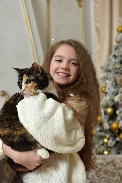 クリスマス ツリーの近く彼女の腕で猫と長い髪を持つ少女 — ストック写真