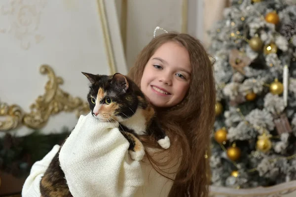 Ragazza con i capelli lunghi con un gatto tra le braccia — Foto Stock