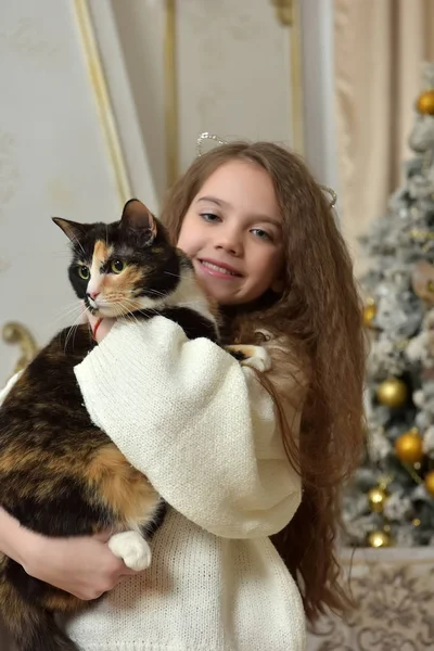 Meisje met lang haar met een kat in haar armen — Stockfoto