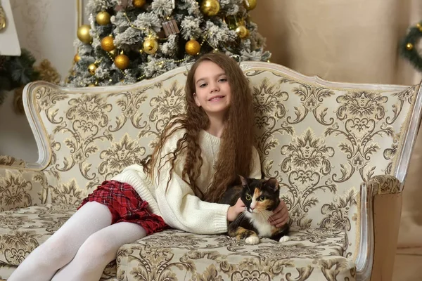 Meisje in een fauteuil met een kat met Kerstmis — Stockfoto