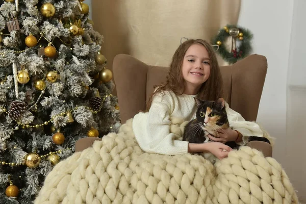 クリスマスに猫と肘掛け椅子の少女 — ストック写真