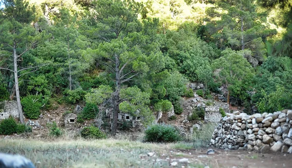 Ruïnes van de ingang van de oude stad van Olympos onder de t — Stockfoto