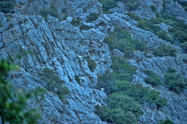 Ruínas da entrada da cidade antiga de Olympos entre o t — Fotografia de Stock