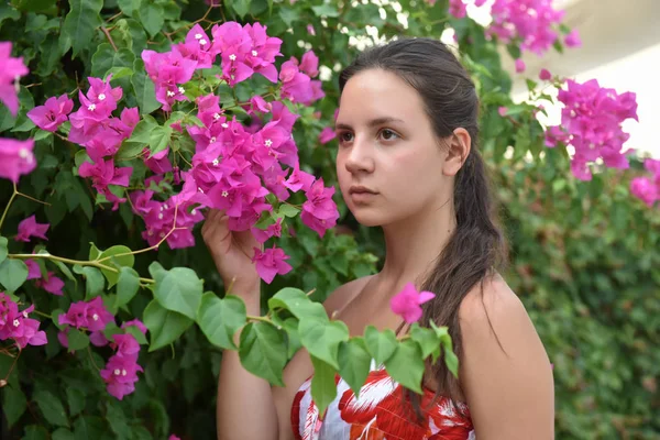 Vacker Ung Brunett Och Bougainvillea Rosa Blommor — Stockfoto