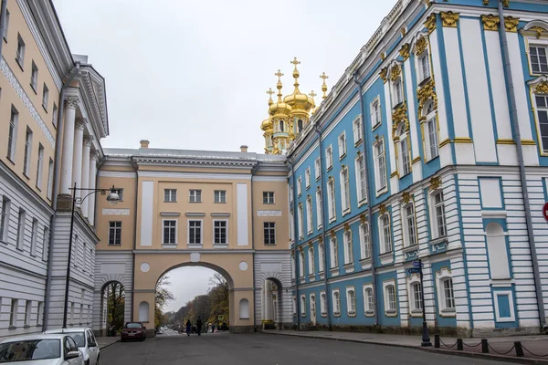 Petersburg Rosja 2016 Złote Kopuły Pałacu Katarzyny Dniu Zimowych Puszkina — Zdjęcie stockowe