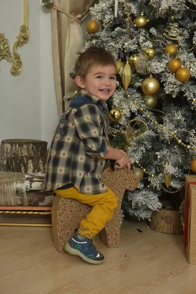 Kleiner Junge Reitet Auf Einem Papppferd Neben Dem Weihnachtsbaum — Stockfoto