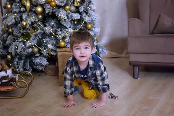クリスマスツリーの近くで遊んだシャツを着た小さなブルネットの男の子 — ストック写真
