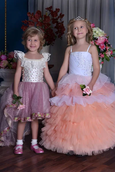 Deux Charmantes Princesses Sœurs Portant Des Robes Roses — Photo