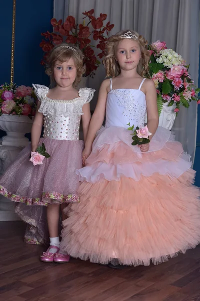 Twee Charmante Prinses Zusters Het Dragen Van Roze Jurken — Stockfoto