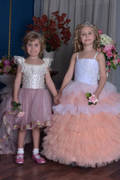Duas Irmãs Princesa Encantadoras Vestindo Vestidos Rosa — Fotografia de Stock