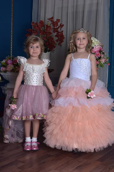 两个迷人的公主姐妹 穿着粉红色的礼服 — 图库照片