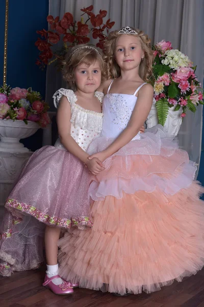 Duas Irmãs Princesa Encantadoras Vestindo Vestidos Rosa — Fotografia de Stock