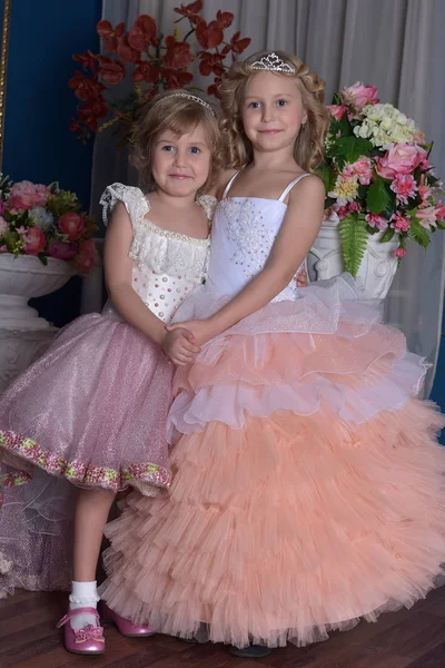 Deux Charmantes Princesses Sœurs Portant Des Robes Roses — Photo