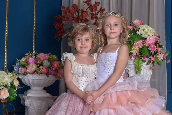 Dos Encantadoras Hermanas Princesas Vestidos Rosa —  Fotos de Stock