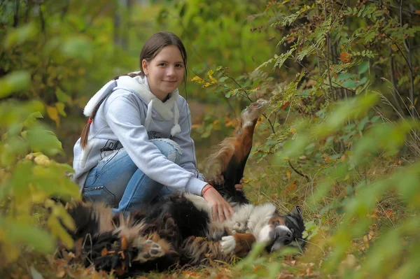 Bernese Mountain Dog Girl Teenage Girl Walking Park — Stock Photo, Image