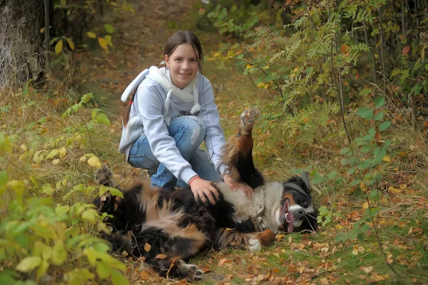 Bernese 山狗和女孩少女在公园散步 — 图库照片