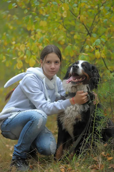 Chien Montagne Bernois Fille Adolescente Marchant Dans Parc — Photo