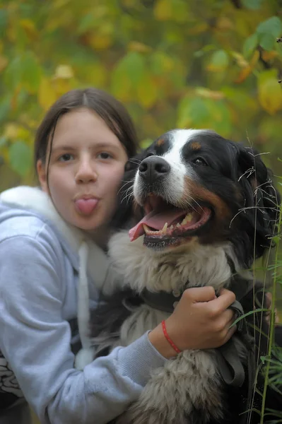 Bernese Mountain Cane Ragazza Adolescente Passeggiando Nel Parco — Foto Stock