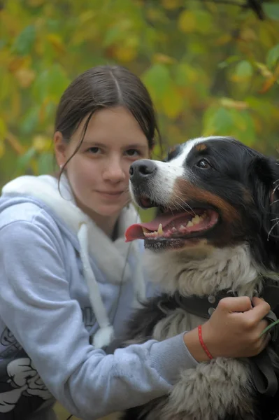 Bernese dağ köpeği ve kız genç kız — Stok fotoğraf