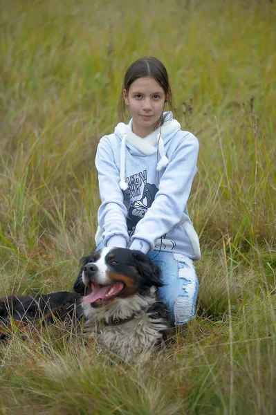 Chien Montagne Bernois Fille Adolescente Marchant Dans Parc — Photo