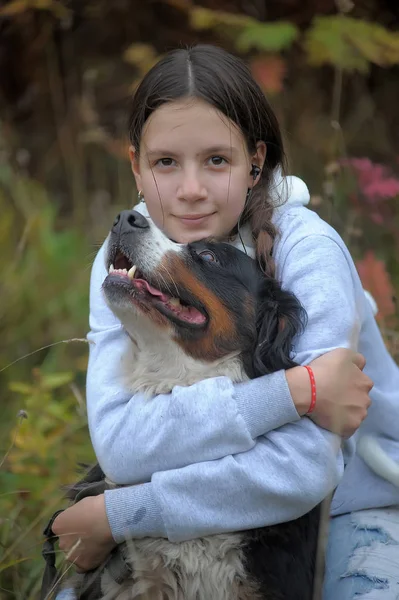 Bernese Mountain Dog e menina adolescente — Fotografia de Stock