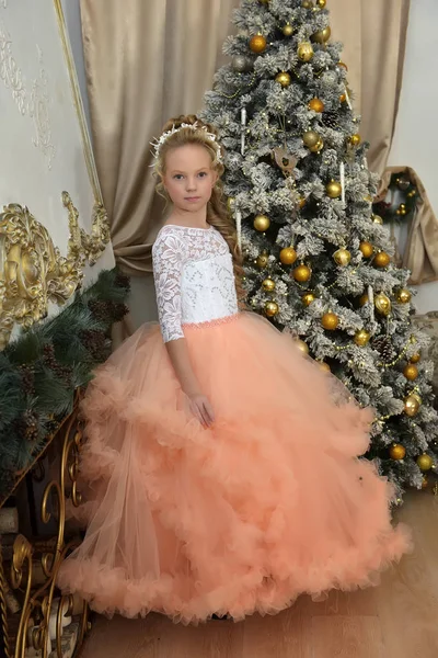 Portrait of a princess in a lush peach dress — Stock Photo, Image