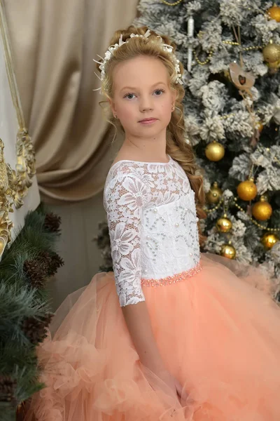 Retrato de una princesa en un exuberante vestido de melocotón — Foto de Stock