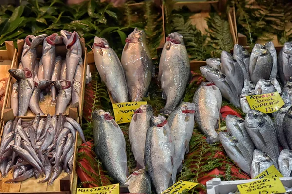 Um vendedor de peixe na cidade de Istambul . — Fotografia de Stock
