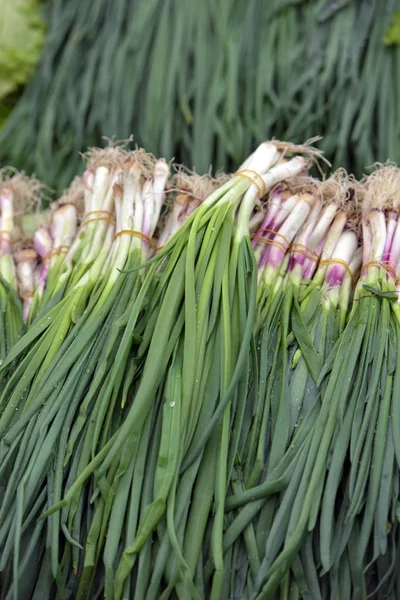 Bunches of green onions — Stock Photo, Image