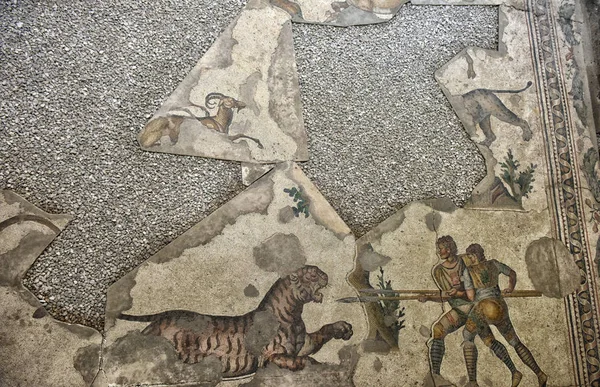 Great Palace mozaik Isztambul Mosaic Museum. — Stock Fotó