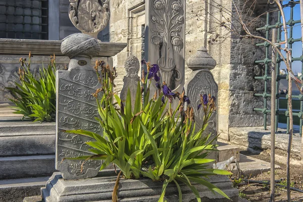 Cementerio de la Mezquita Suleymaniye con tumba de los legendarios turcos — Foto de Stock